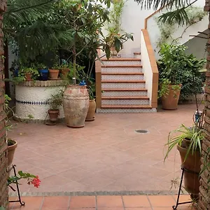 De Estreno En Patios Tipicos De San Basilio Cordoba