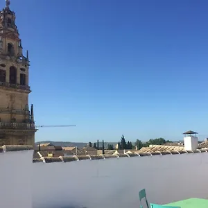 Entre 2 Mezquitas 8 Cordoba